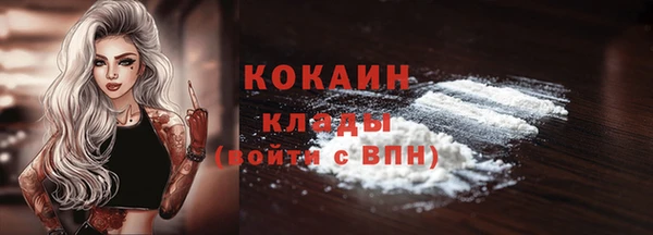мескалин Богородицк