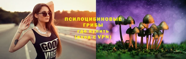 мескалин Богородицк