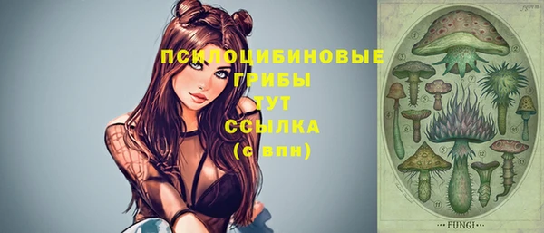 марки nbome Белокуриха