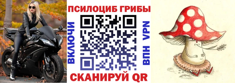 даркнет как зайти  Ейск  Галлюциногенные грибы GOLDEN TEACHER 